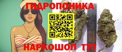 дживик Коммунар